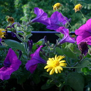 P1050710_card