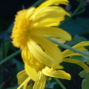 P1050738_card