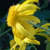 P1050738_thumb