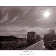 Outofthesun_card