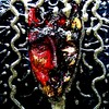 Il_diavolo_thumb