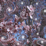 Starry_l_card