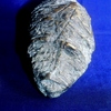 Kopf_aktaion_thumb