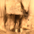 Kozio_-jo__tiny_square