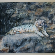 White_tiger_card