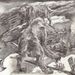 Smilodon_y_milodon_square