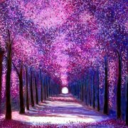 000000000000000000000000000000nature_s_cathedral_card