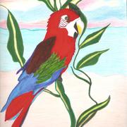 Lauras_art_pink_sands_001_card