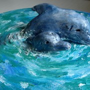 Dolphins_card