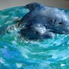 Dolphins_thumb