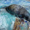Manatees_thumb