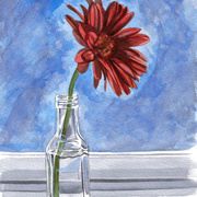 Flower-in-the-window_web_card