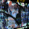 Forest1_thumb
