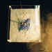 Kasseler1a_square