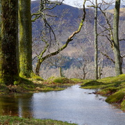 Imgp0688_card