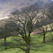 Imgp0668-001_card