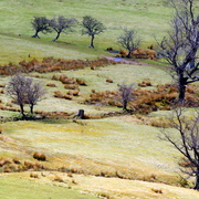 Imgp0766_card