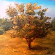 Sam_0510_card