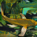 Golden_river_koi_square