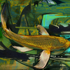 Golden_river_koi_thumb