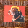 Framedgypsyportraitofbeauty_thumb