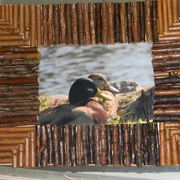 Framedducks_card