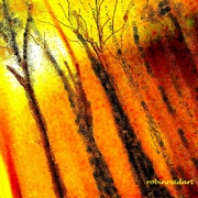P1000041_card