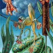 2436-frog-traveller_copy_card