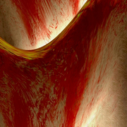 Bloodyday_card