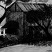 Sdc15441_square