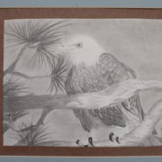 Dsc_0070_card