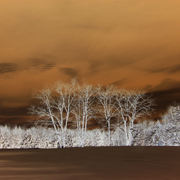 100_1296_card