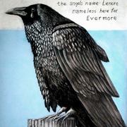 Raven3_card