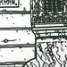 Ferran_en_gris_square
