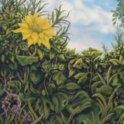 Summer_afternoon_card