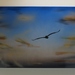 Solo_flight_square