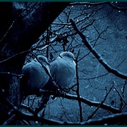 10887_card