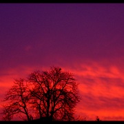Picture_00141_card