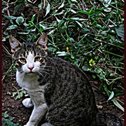 324831_card