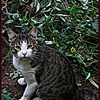 324831_thumb