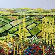 893-rolling_fields_card