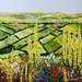893-rolling_fields_square