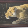 Farmed_lioness_oil_on_canvas_thumb