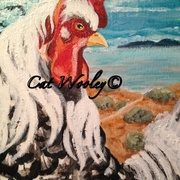 Image_card