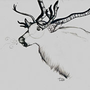 Caribou_card