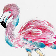 Flamingo_card