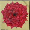 Rose_thumb