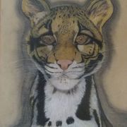 Clouded_leopard_card