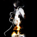 Zabu-stewart-dvine-right_square