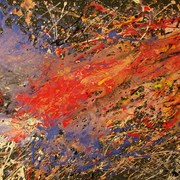 Img_1466______________card